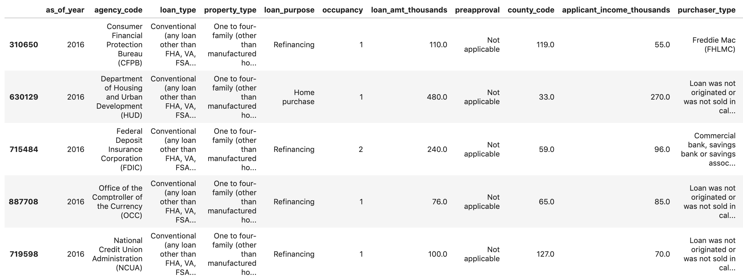 Mortgage dataframe preview